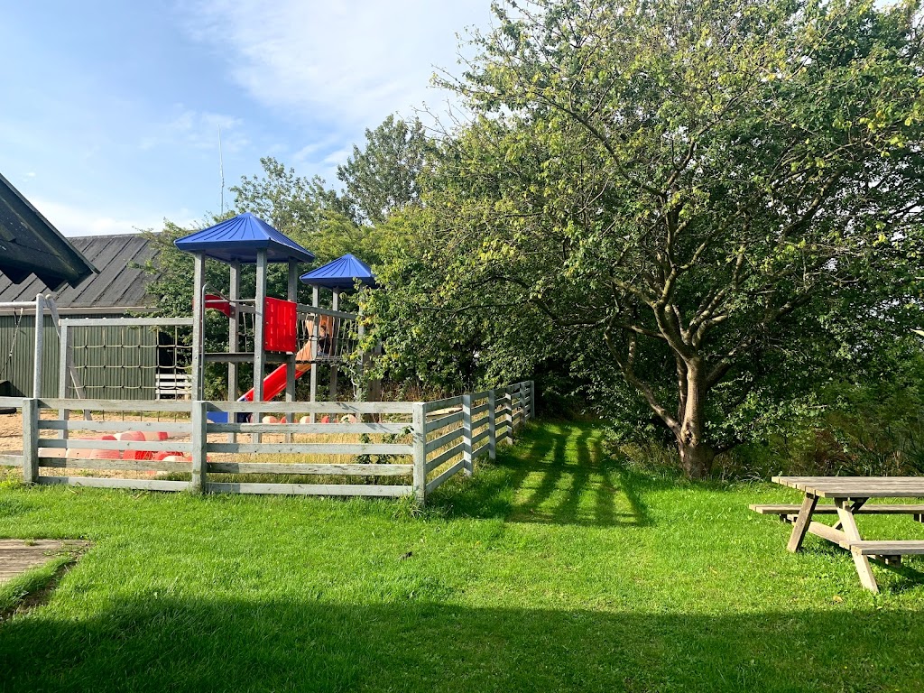 tangloppen-camping-13.jpeg