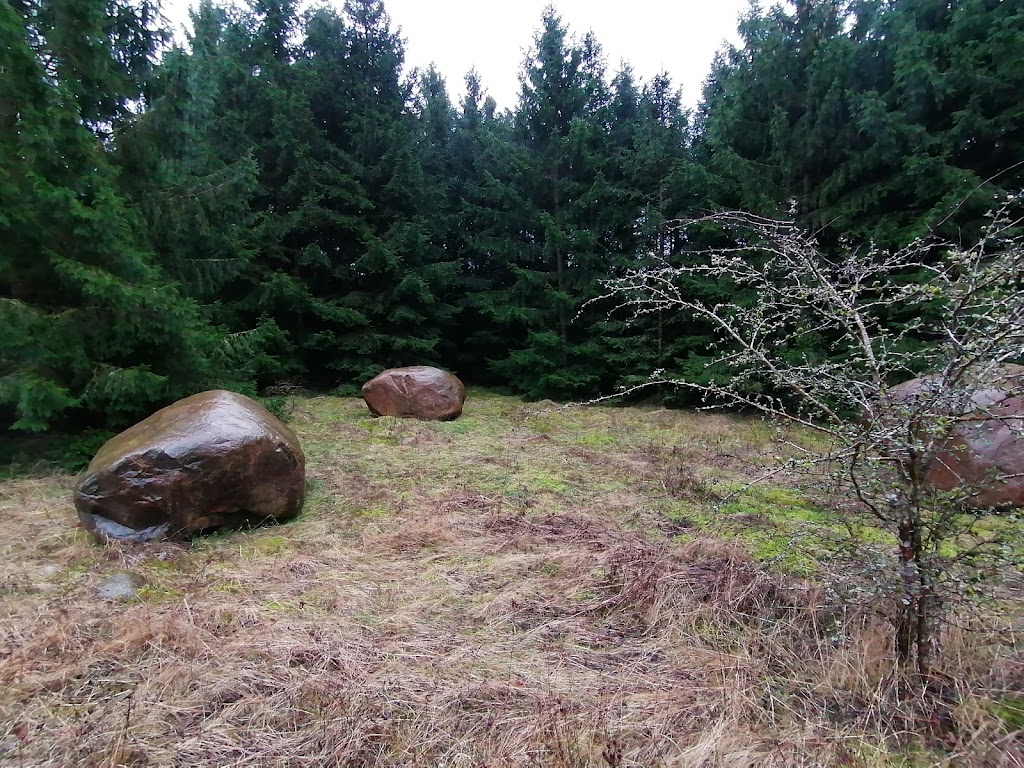 bjergsted-grusgrav-1.jpeg