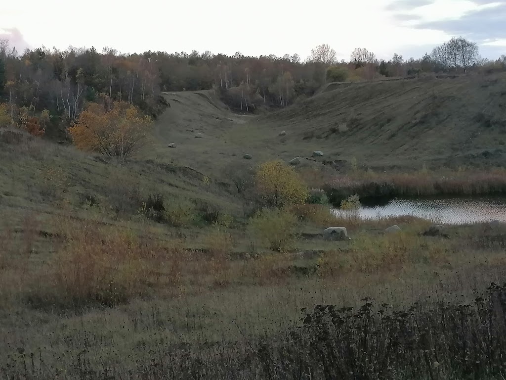 bjergsted-grusgrav-12.jpeg