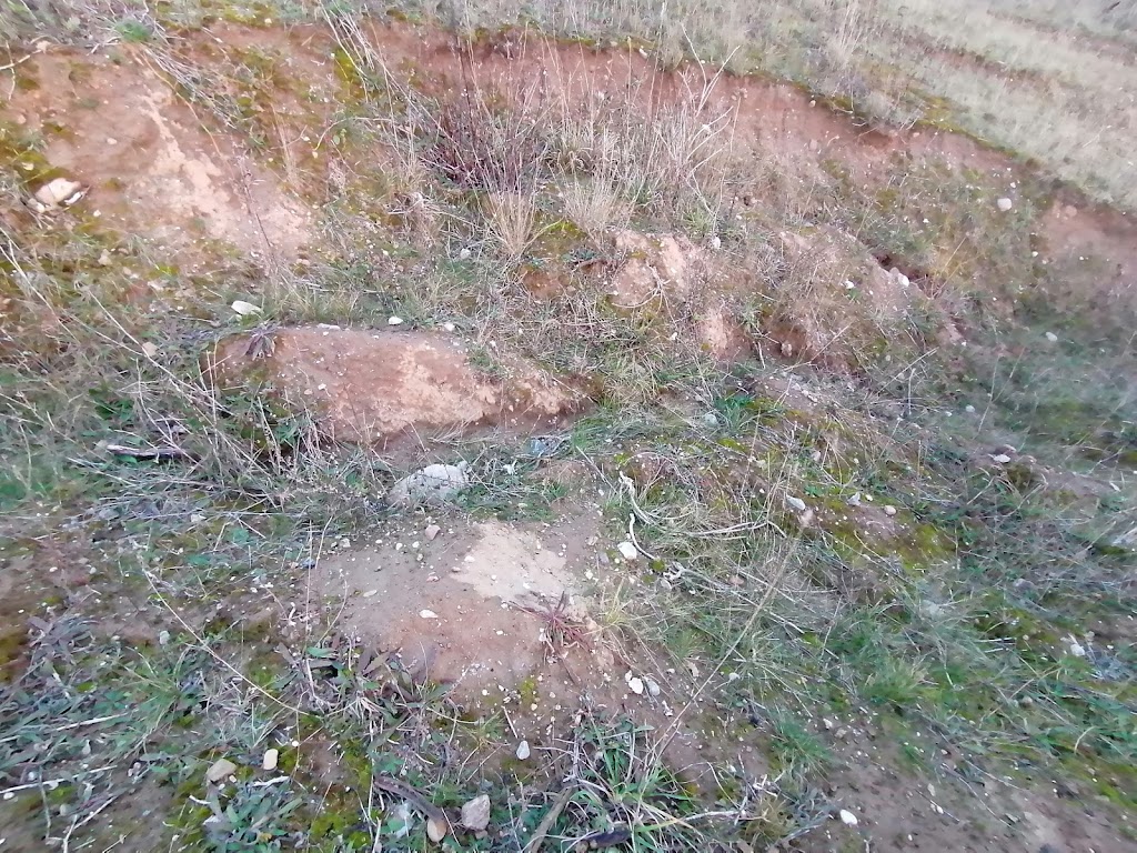 bjergsted-grusgrav-14.jpeg