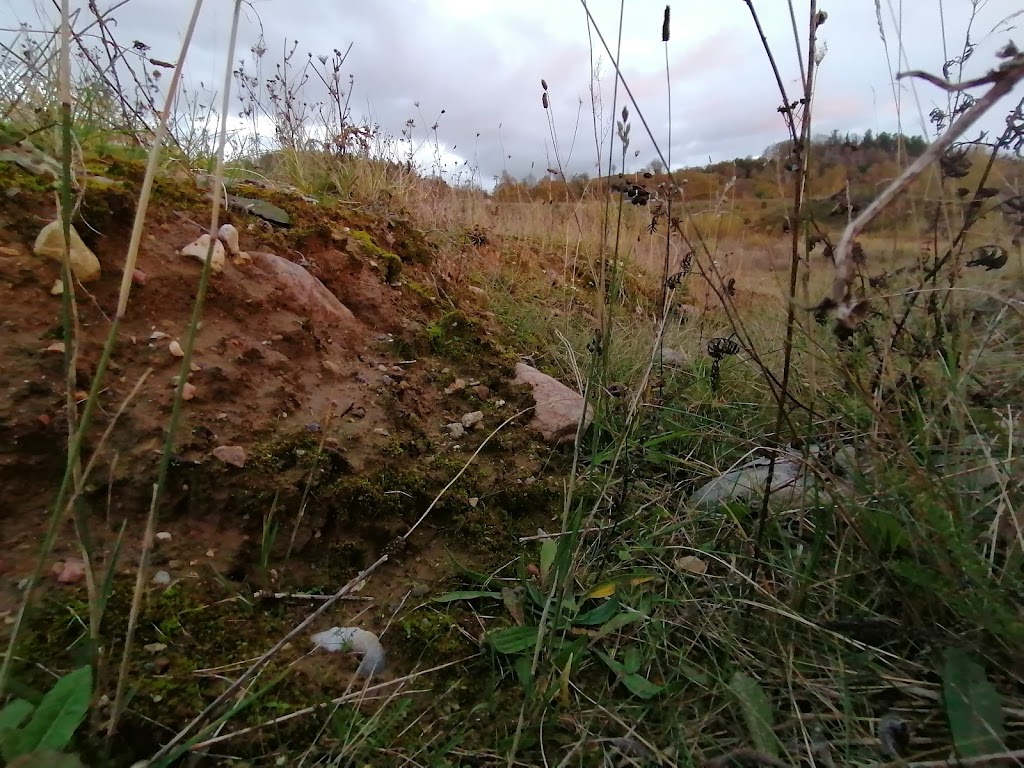 bjergsted-grusgrav-17.jpeg