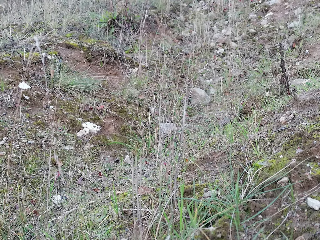 bjergsted-grusgrav-4.jpeg