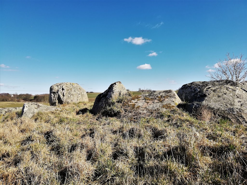 buerup-langdysse-1-0.jpeg