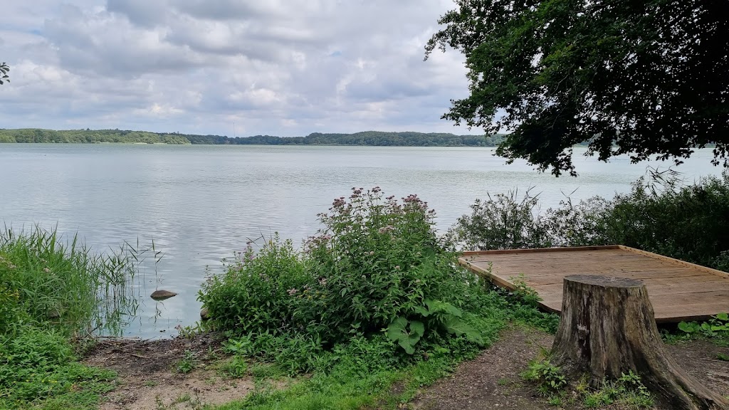 skarreso-fugleudkigspost-14.jpeg