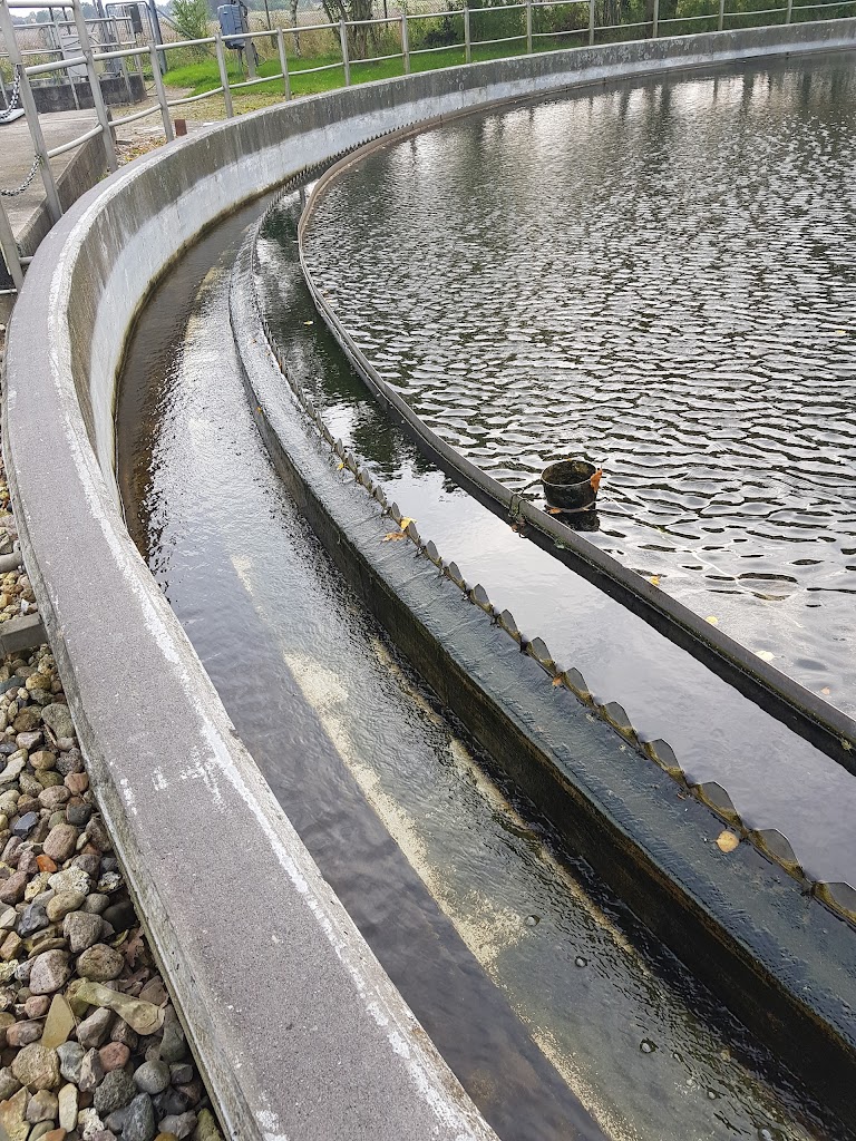 tornved-renseanlaeg-2.jpeg