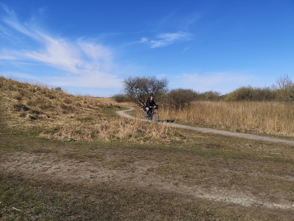 bumlebjerg-18.jpeg