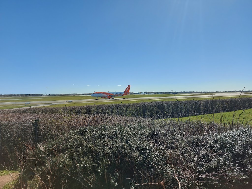 flyvergrillen-2.jpeg
