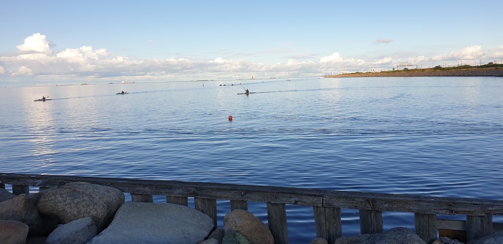 rose-kayak-club-2.jpeg