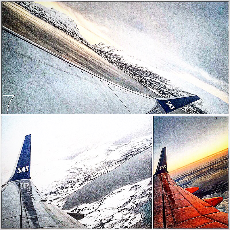 scandinavian-airlines-system-12.jpeg