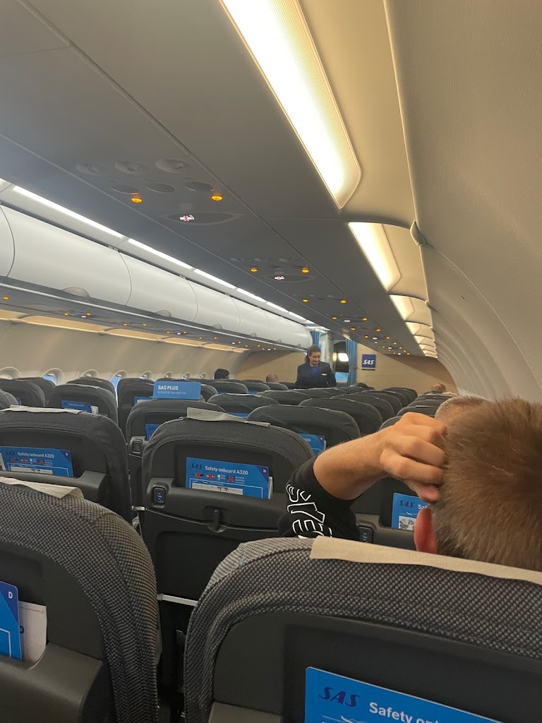 scandinavian-airlines-system-14.jpeg