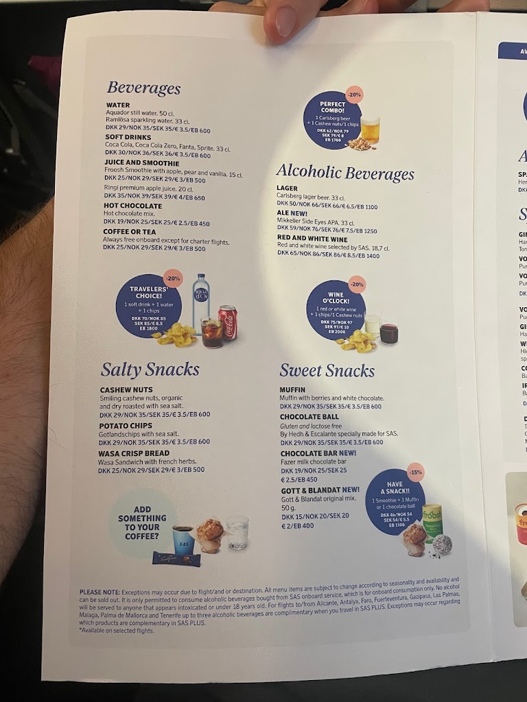 scandinavian-airlines-system-16.jpeg