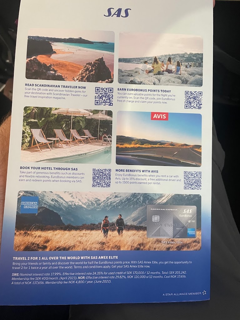 scandinavian-airlines-system-17.jpeg