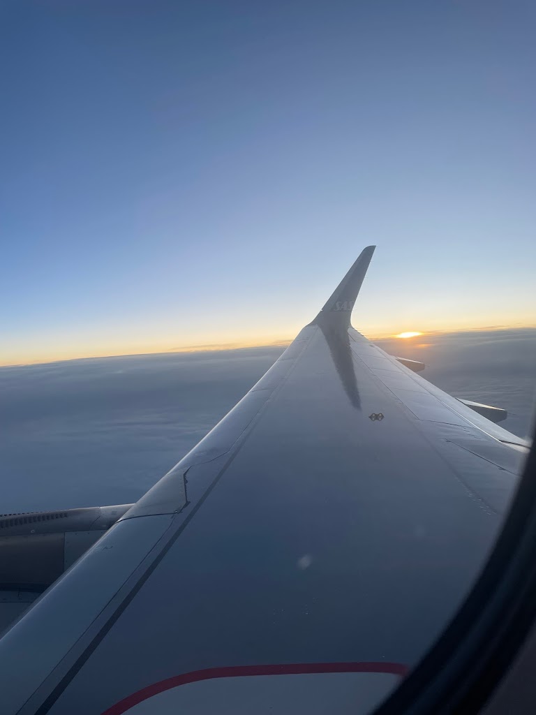 scandinavian-airlines-system-3.jpeg
