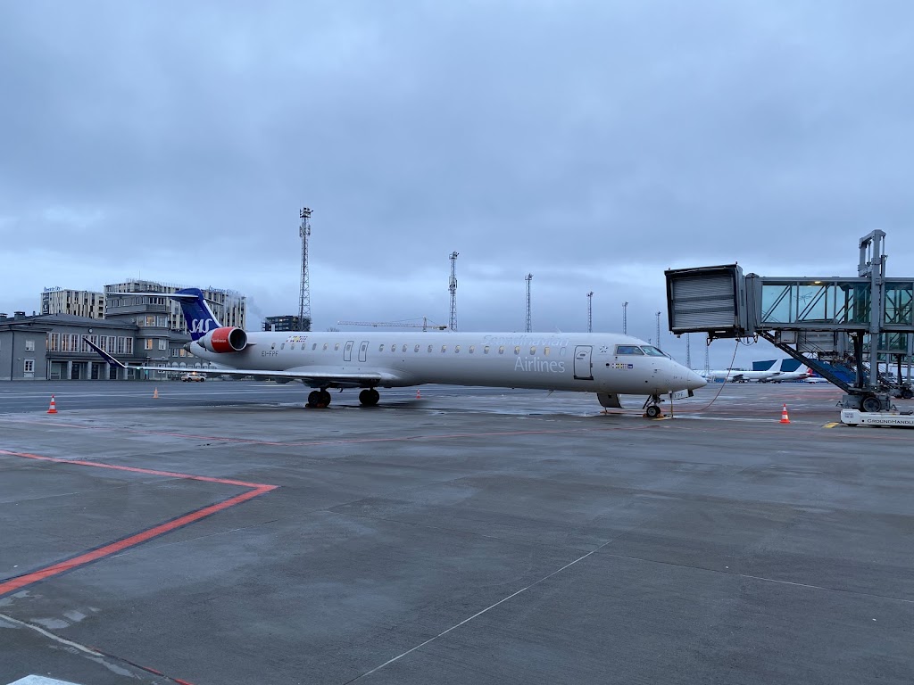 scandinavian-airlines-system-4.jpeg