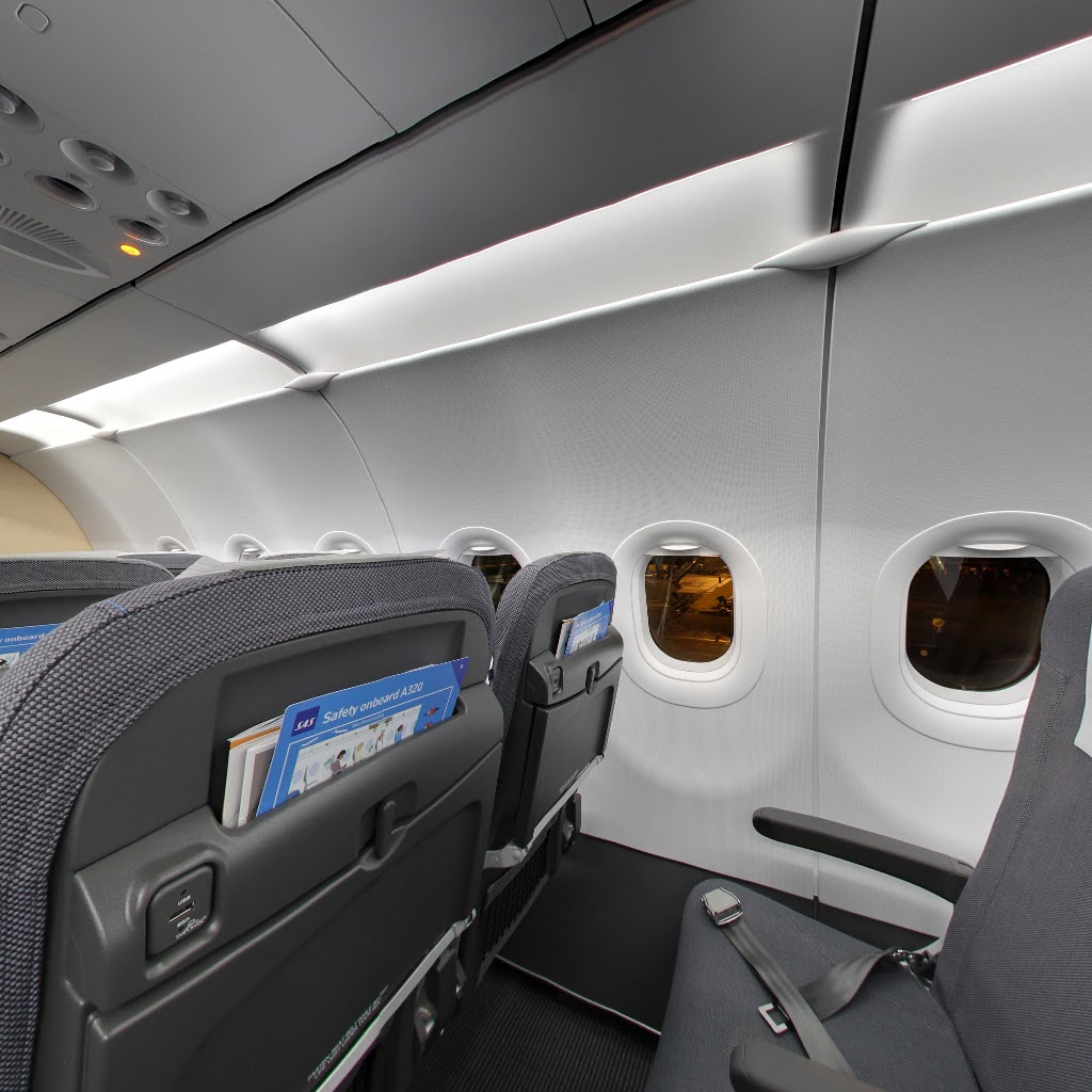 scandinavian-airlines-system-9.jpeg