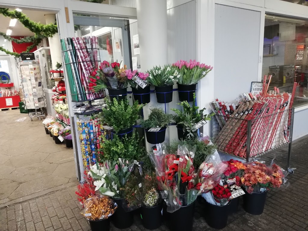 skottegardens-butikscenter-11.jpeg