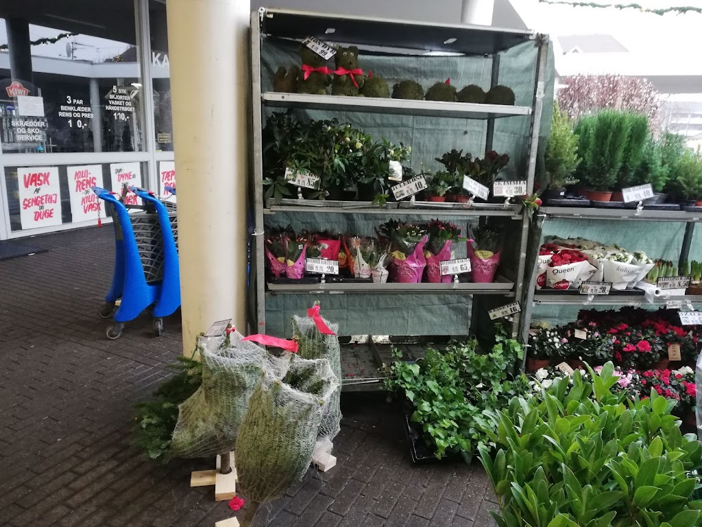skottegardens-butikscenter-5.jpeg