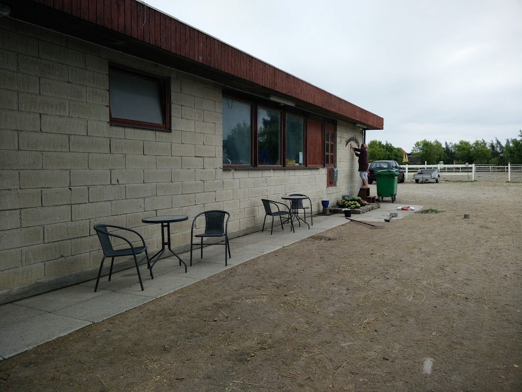 tommerup-sportsrideklub-11.jpeg