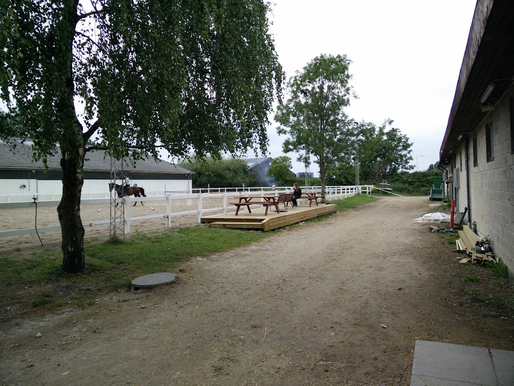 tommerup-sportsrideklub-15.jpeg