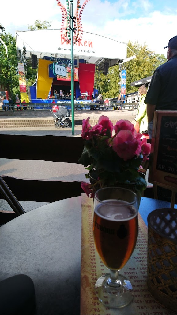 sommerlyst-bar-6.jpeg