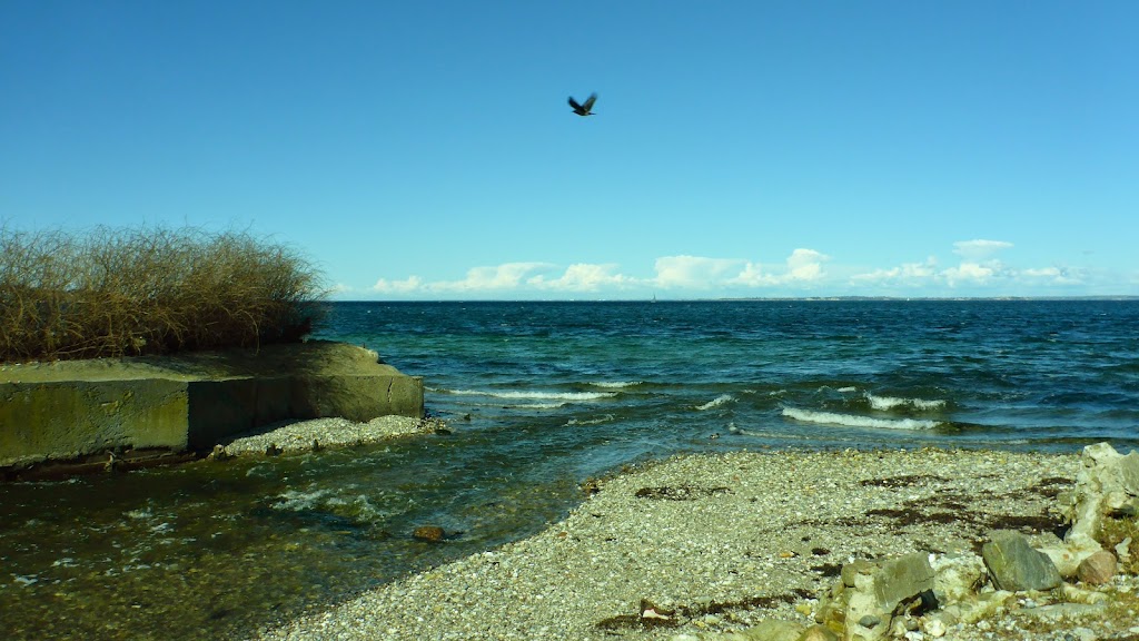 strandmollen-a-s-9.jpeg