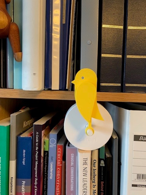 birdie-5.jpeg