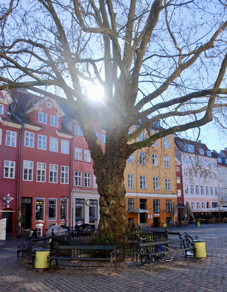 psykolog-i-kobenhavn-k-maya-glem-1.jpeg