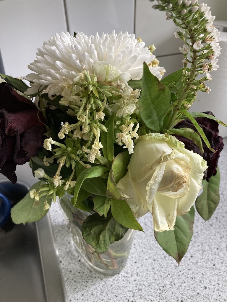 roses-flowers-12.jpeg