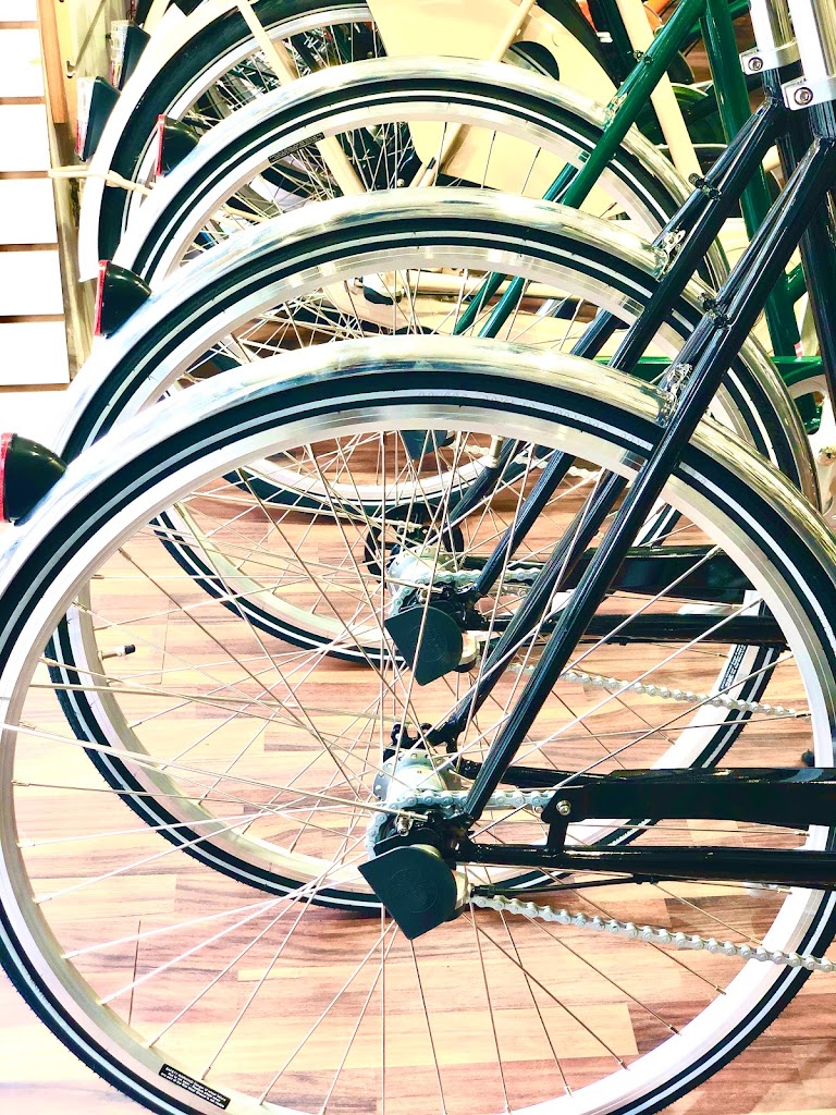 h-c-andersen-cyklercykelekspressen-dk-13.jpeg