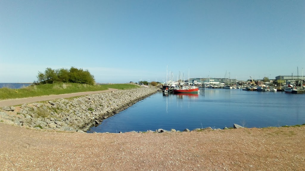 skudehavnen-18.jpeg