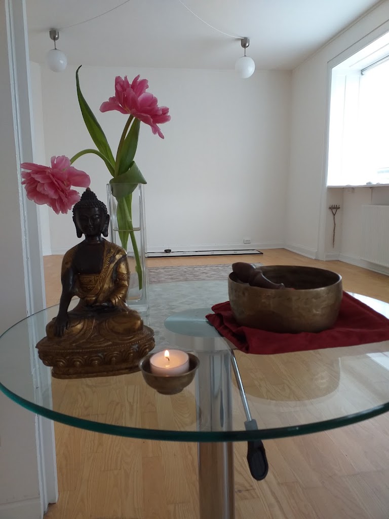 www-indsigtsmeditation-vipassana-com-6.jpeg