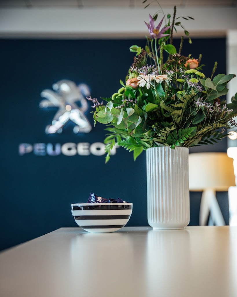 bilhuset-koge-nybilssalg-peugeot-citroen-fiat-jeep-alfa-hongqi-5.jpeg