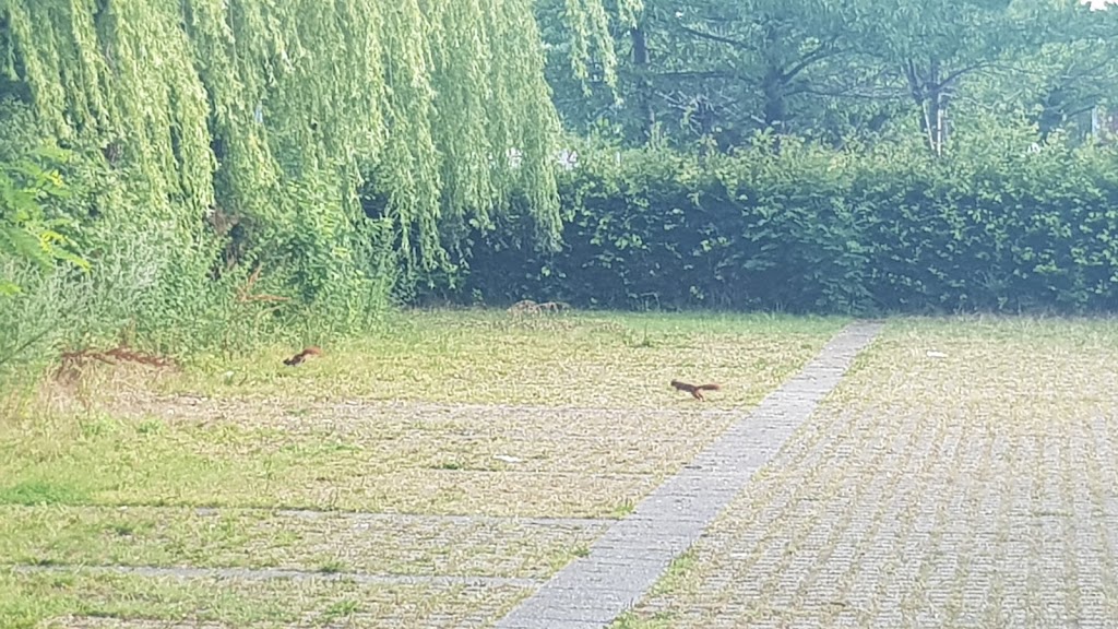 boholte-kirke-11.jpeg