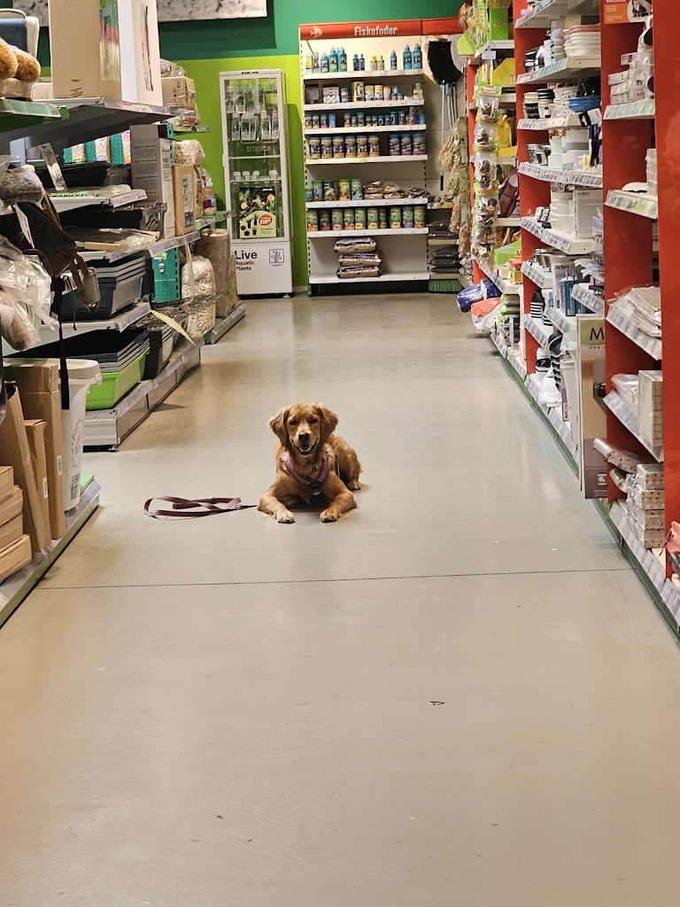 maxi-zoo-koge-18.jpeg