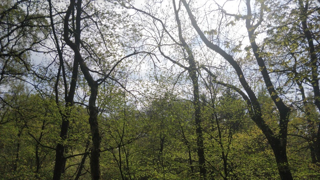 mini-center-koge-ridge-koge-scouts-2.jpeg