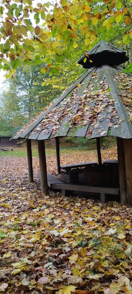 mini-center-koge-ridge-koge-scouts-7.jpeg