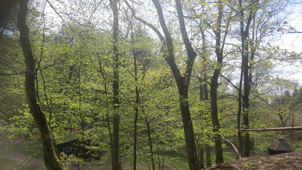 mini-center-koge-ridge-koge-scouts-8.jpeg