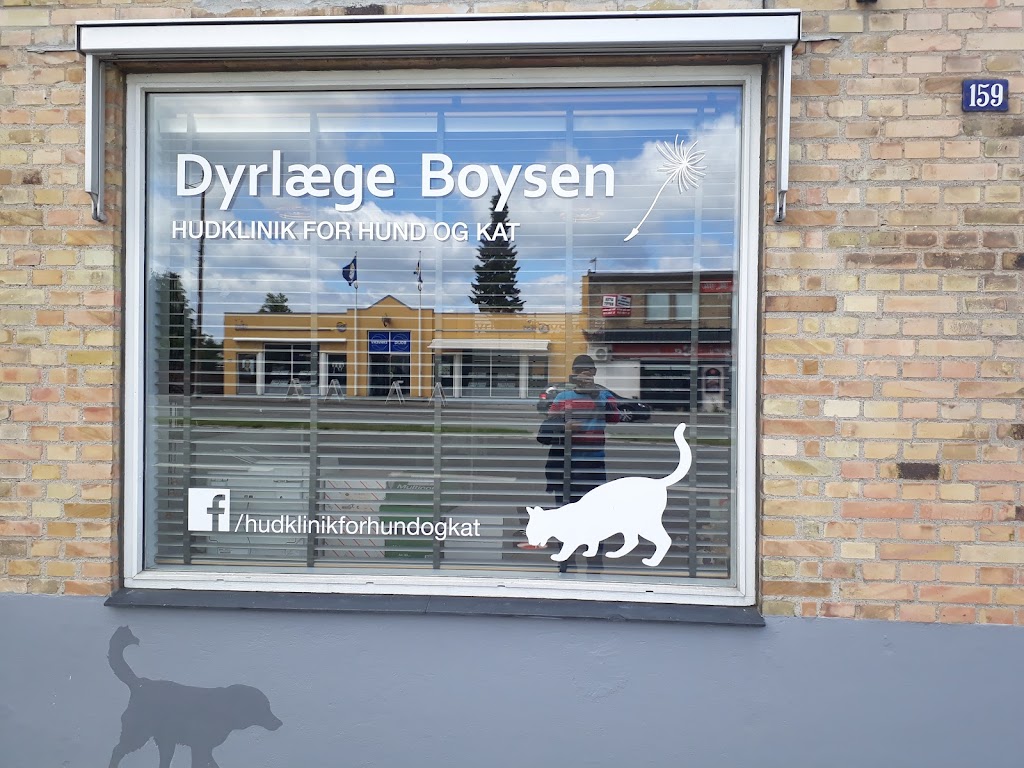dyrlaege-boysen-4.jpeg