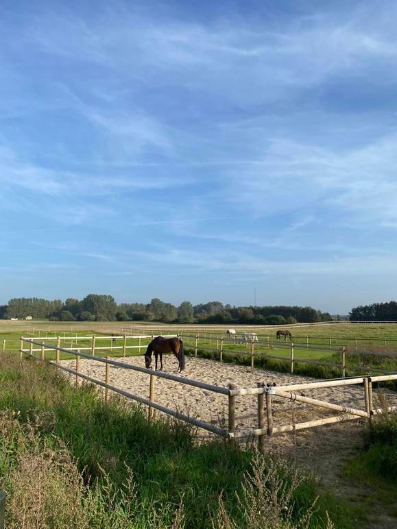 lm-horse-retreat-aps-0.jpeg