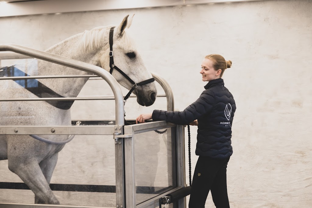 lm-horse-retreat-aps-1.jpeg