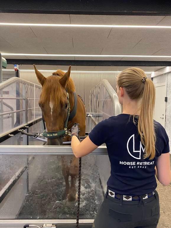 lm-horse-retreat-aps-15.jpeg