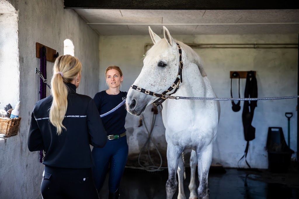lm-horse-retreat-aps-8.jpeg
