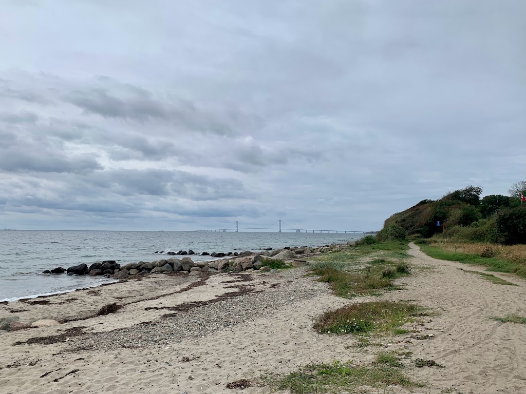 korsor-skov-skov-stranden-strand-0.jpeg