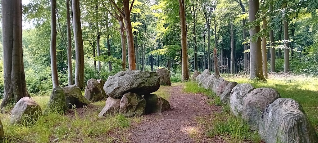 korsor-skov-skov-stranden-strand-18.jpeg