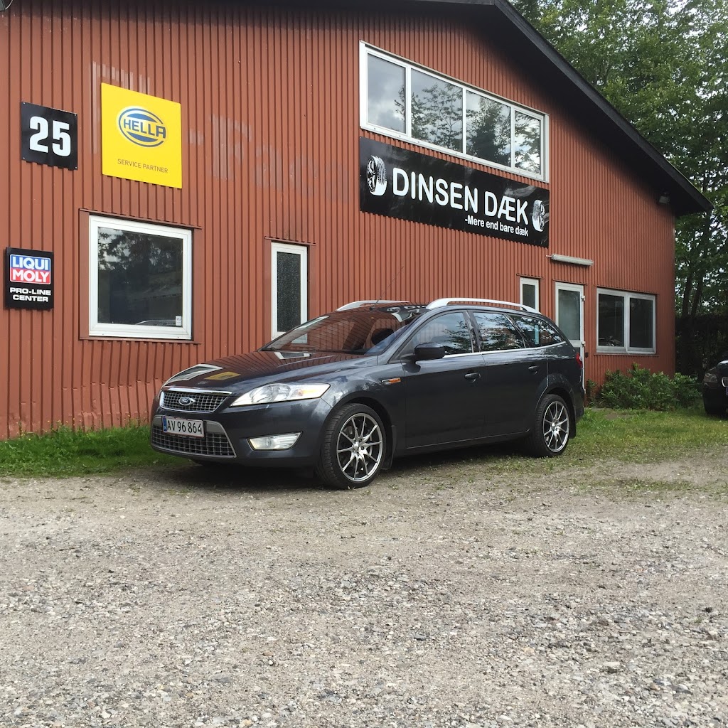 dinsen-daek-0.jpeg