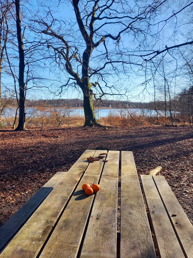 grillplads-camping-area-1.jpeg