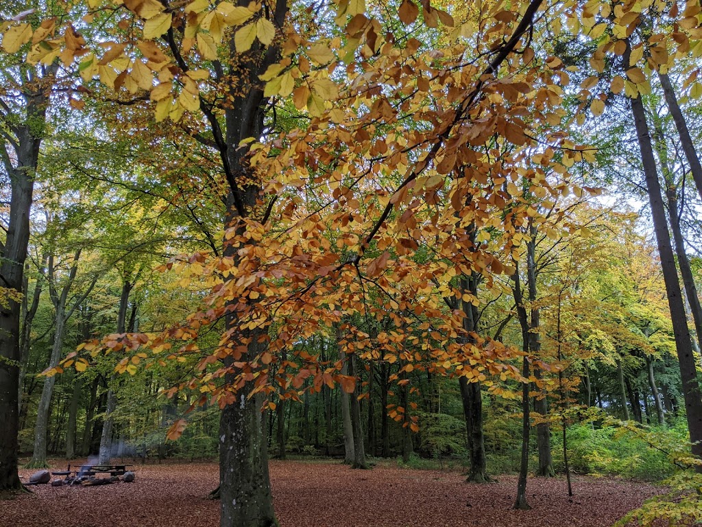 grillplads-camping-area-3.jpeg