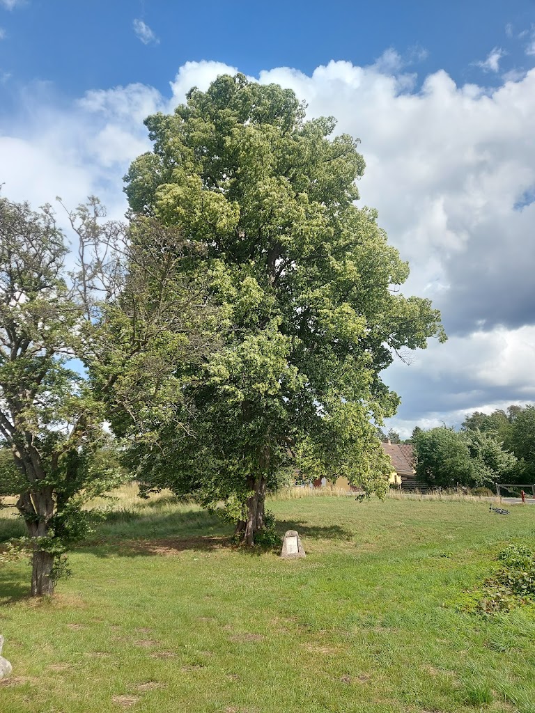 memorial-stone-for-sophus-magnus-bjornsen-7.jpeg