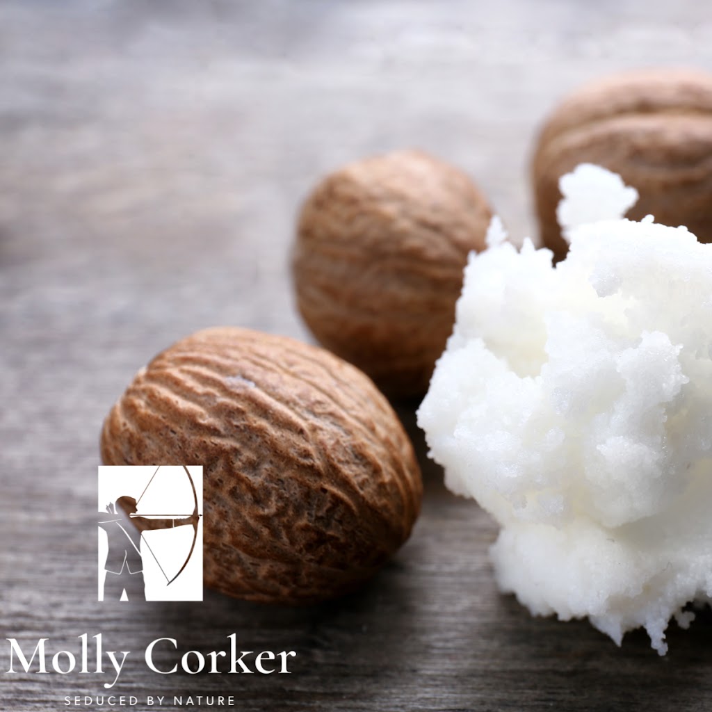 molly-corker-aps-2.jpeg