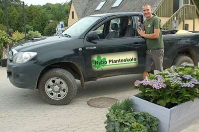 nybo-nursery-and-garden-center-0.jpeg